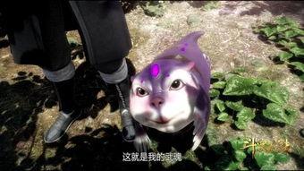 娱乐吃瓜君遛鸟大师,揭秘抖音小杨哥父亲意外走红背后的故事