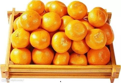 橘子娱乐吃瓜队,揭秘娱乐圈幕后风云