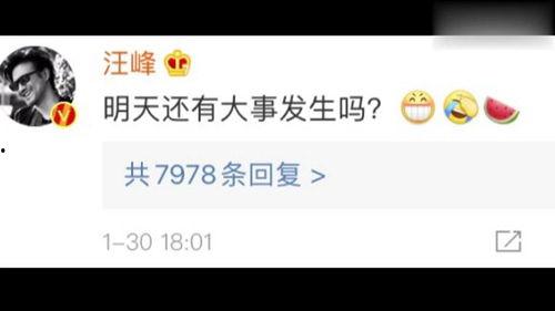 娱乐吃瓜频道在哪看啊,娱乐吃瓜频道，带你轻松追剧吃瓜！