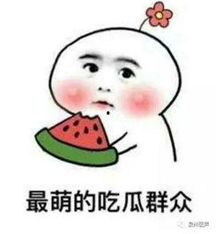 娱乐吃瓜君被告了么,真相与影响全解析