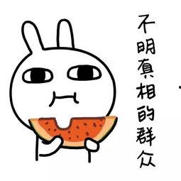 娱乐吃瓜经典语录,笑料百出，揭秘明星幕后趣闻