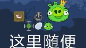 吃瓜喵娱乐速报,娱乐圈最新热点，揭秘明星幕后故事