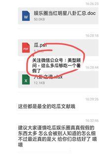 娱乐圈吃瓜pdf文件,421PDF文件深度解析
