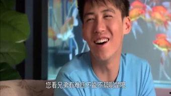 霖哥娱乐吃瓜,抖音吃瓜文化背后的娱乐生态