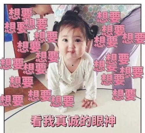 娱乐吃瓜酱小纸条,跟随娱乐吃瓜酱小纸条探寻八卦风云